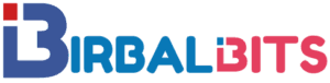 Birbal Bits logo – website development client